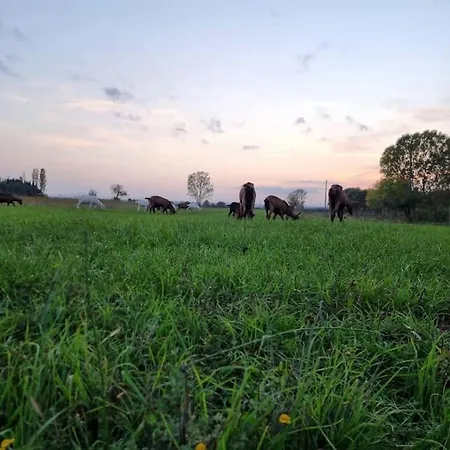 Ferienhaus - La Capra Amaltea