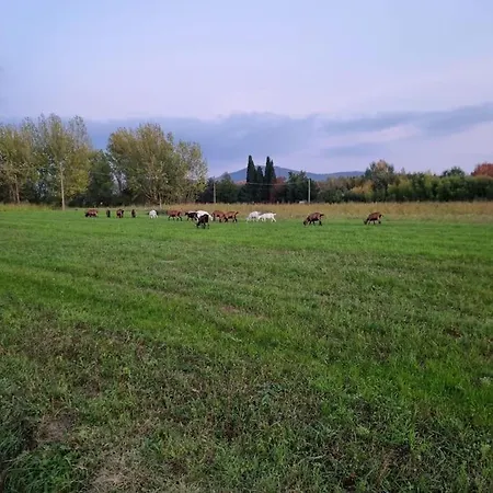 Ferienhaus - La Capra Amaltea *