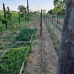 Dom wakacyjny - La Capra Amaltea Cortona
