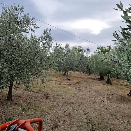 - La Capra Amaltea *