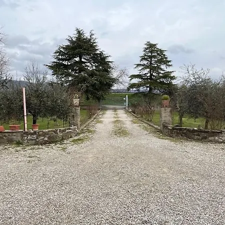 - La Capra Amaltea