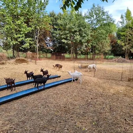 - La Capra Amaltea Prázdninový dům