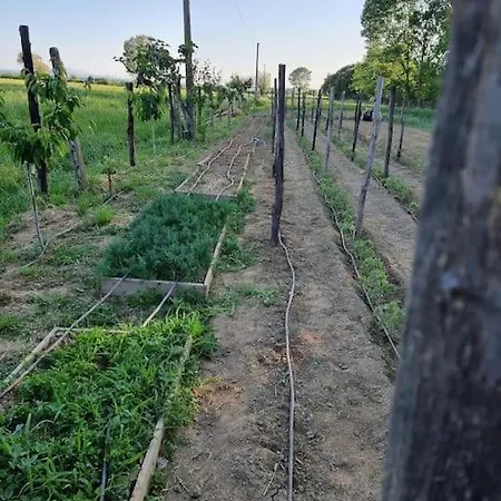 Prázdninový dům - La Capra Amaltea Cortona
