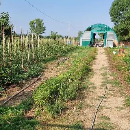 Prázdninový dům - La Capra Amaltea Cortona