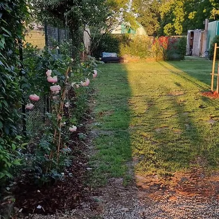 - La Capra Amaltea Cortona