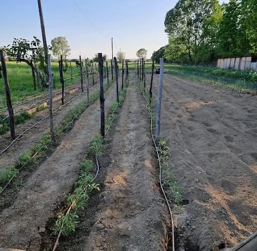 - La Capra Amaltea *