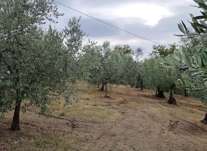 - La Capra Amaltea *