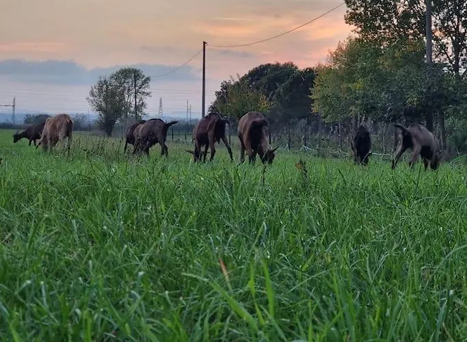- La Capra Amaltea Nyaraló *