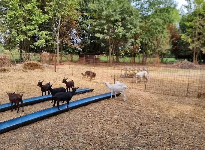 - La Capra Amaltea Nyaraló