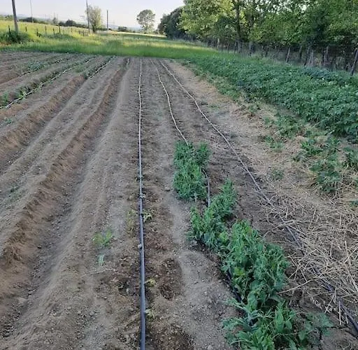 بيت للعطل - La Capra Amaltea كورتونا