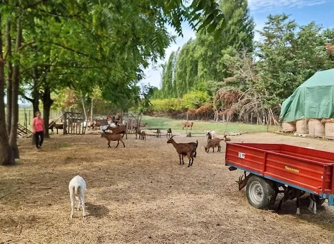 - La Capra Amaltea * كورتونا