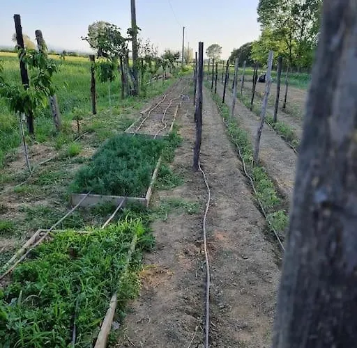 Nyaraló - La Capra Amaltea Cortona