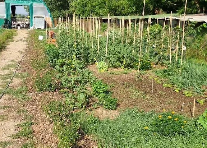 - La Capra Amaltea Nyaraló *