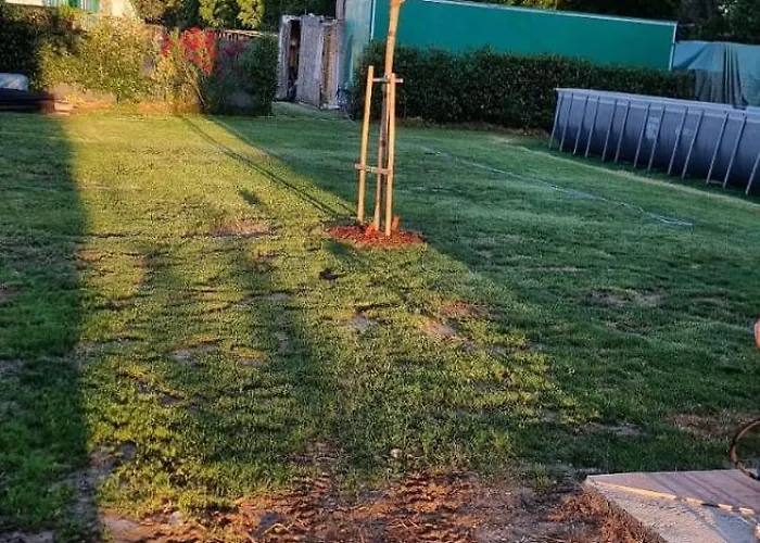 - La Capra Amaltea Cortona