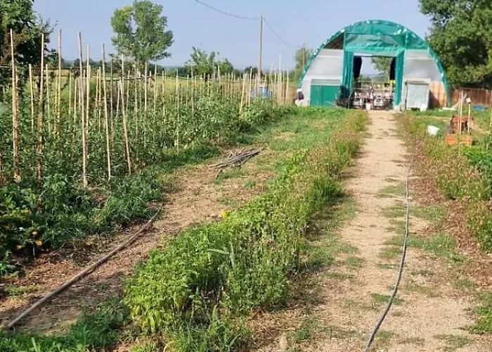 بيت للعطل - La Capra Amaltea كورتونا