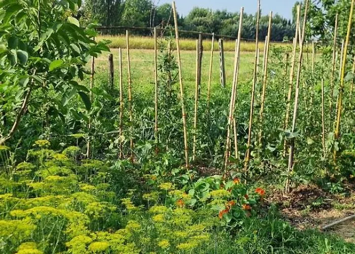 Nyaraló - La Capra Amaltea *