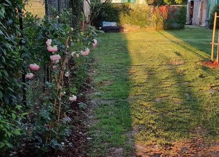 - La Capra Amaltea كورتونا